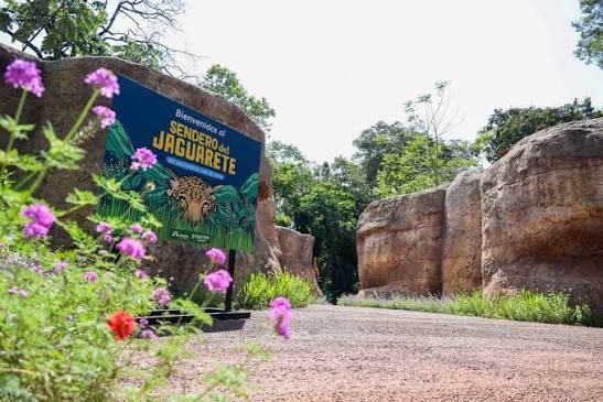 Sendero del Jaguareté — foto 2