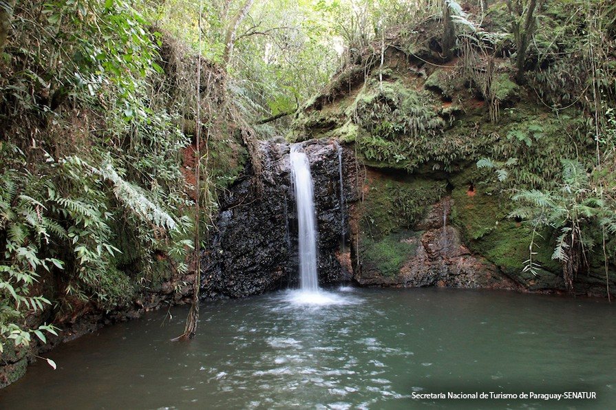 Refugio Biológico Tatí Yupí — foto 2
