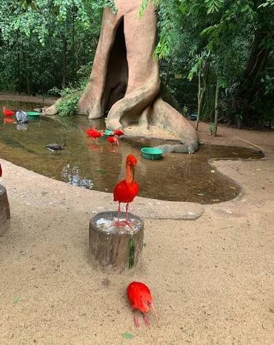 Parque das Aves — foto 2