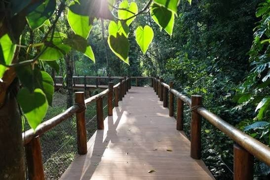 Tekotopa – Centro Ambiental de Itaipú — foto 2